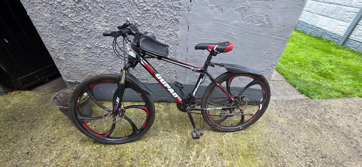 Bicycle - Image 2