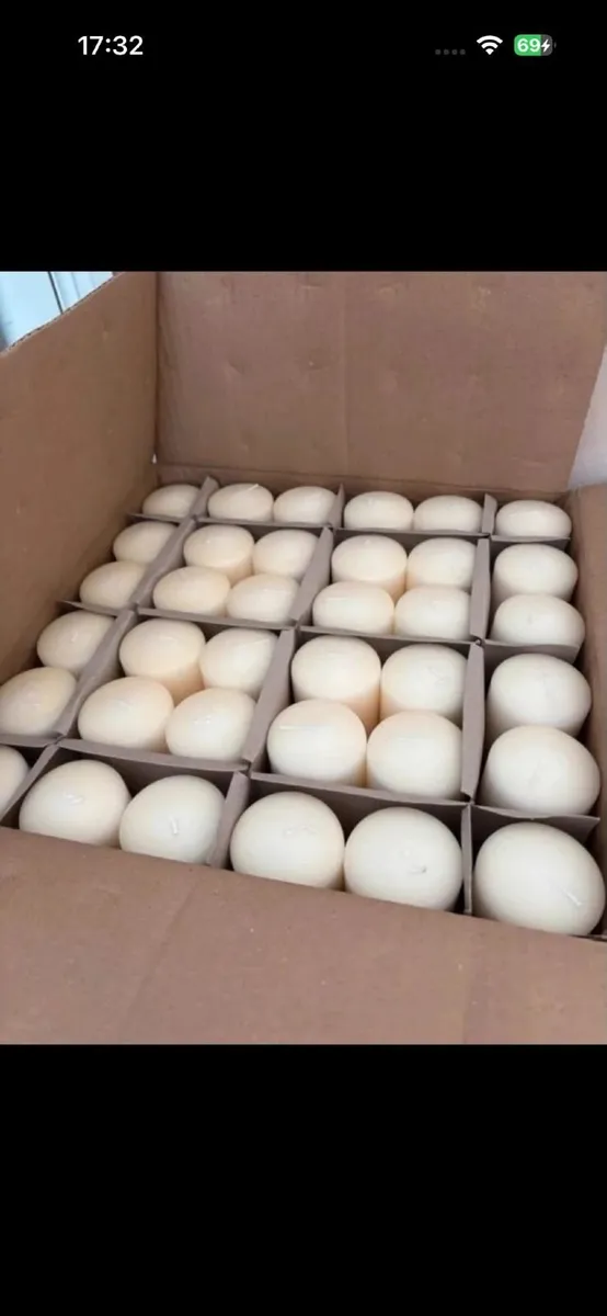 Box of brand new 6inch ivory candles (36 in box) - Image 4