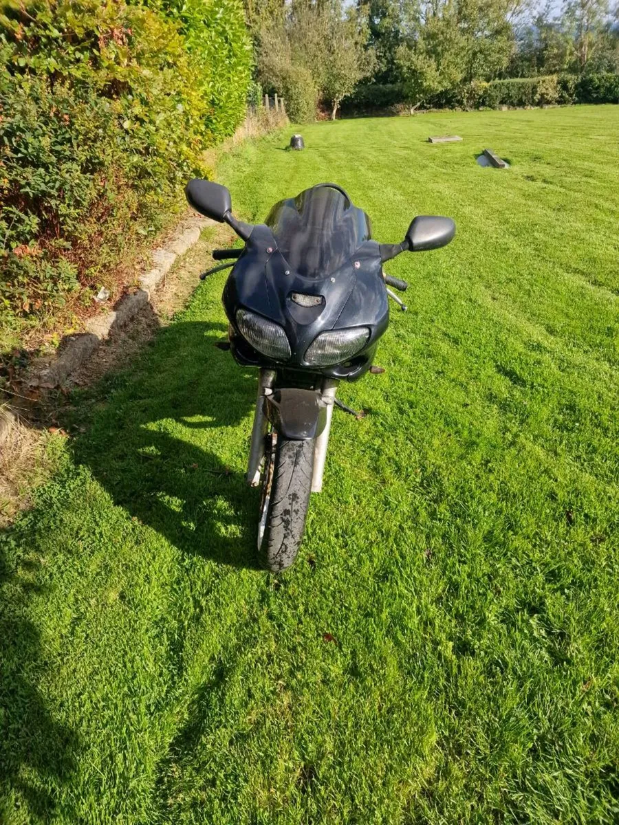 Suzuki sv650 - Image 2