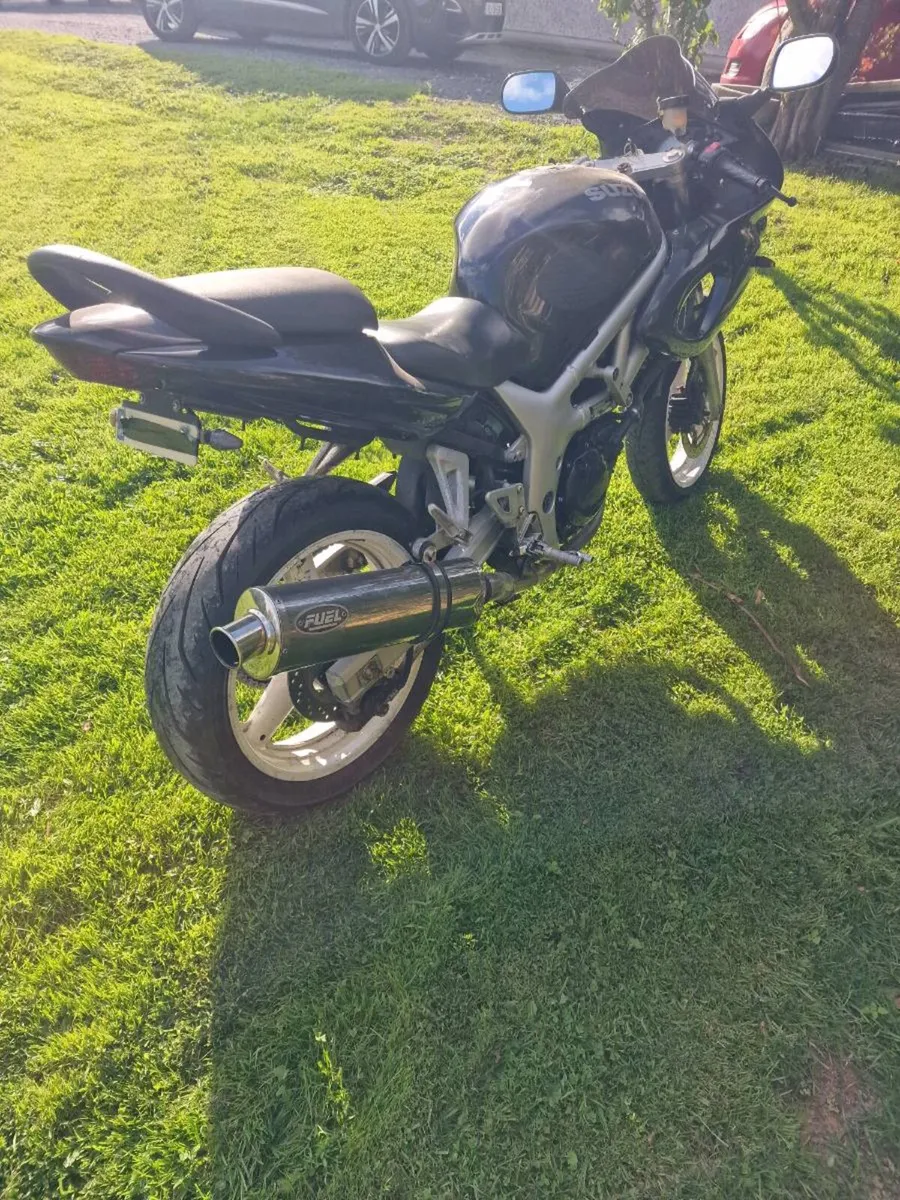 Suzuki sv650 - Image 4