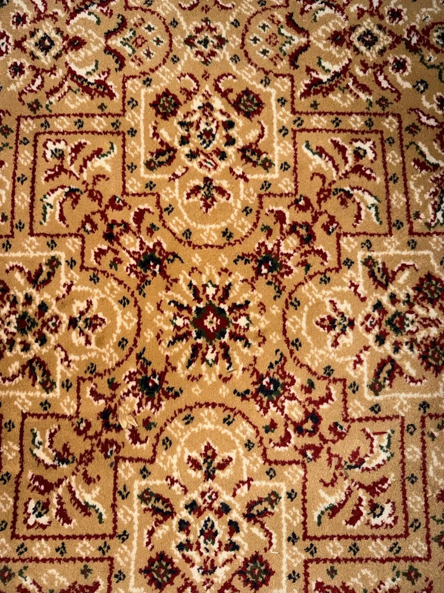 HSL Carpet - Image 1
