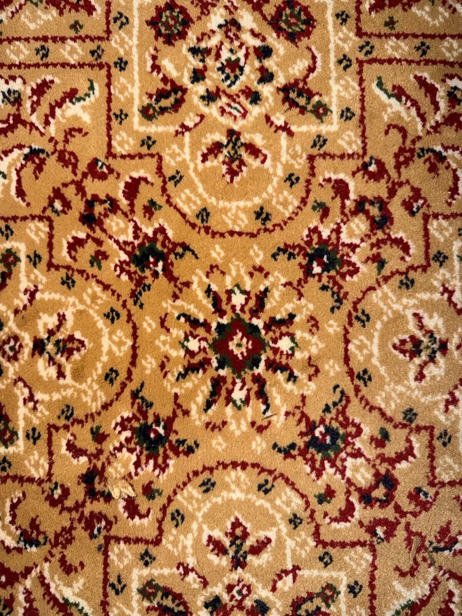 HSL Carpet - Image 3