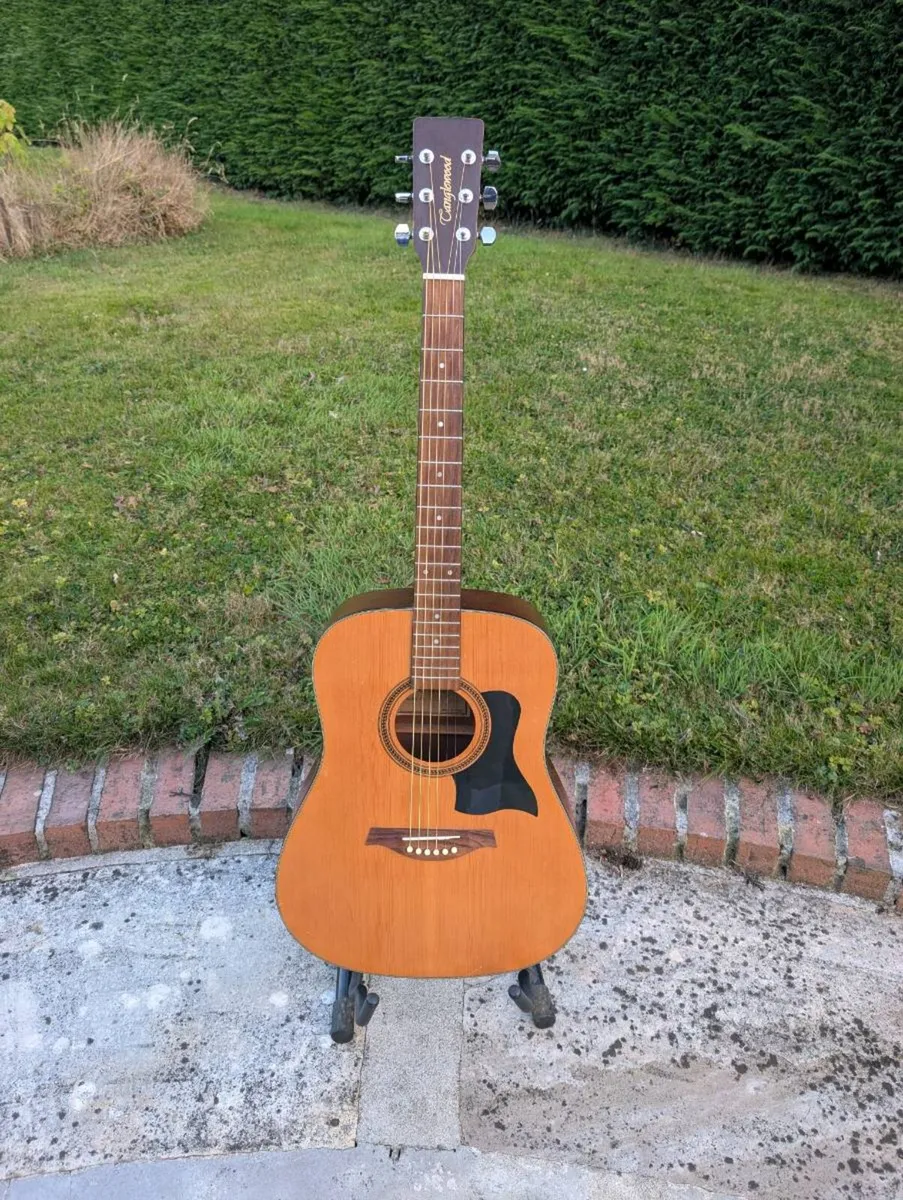 Tanglewood TW28SN Acoustic Guitar - Image 1