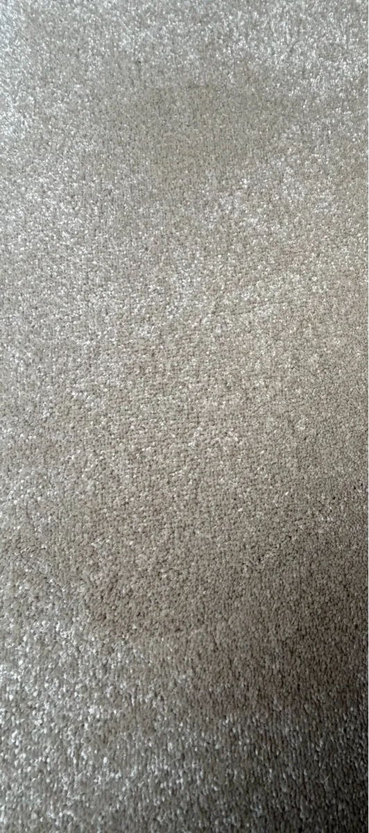 Neutral Carpet - Image 1