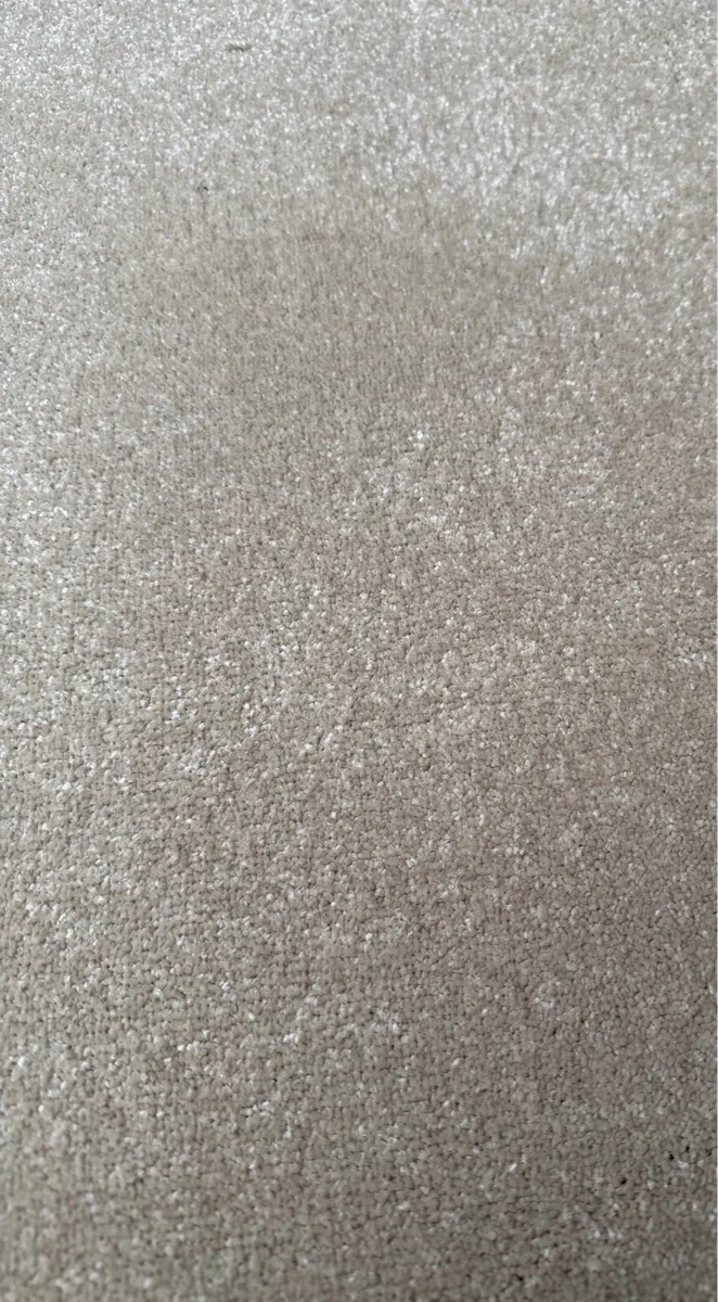 Neutral Carpet - Image 2