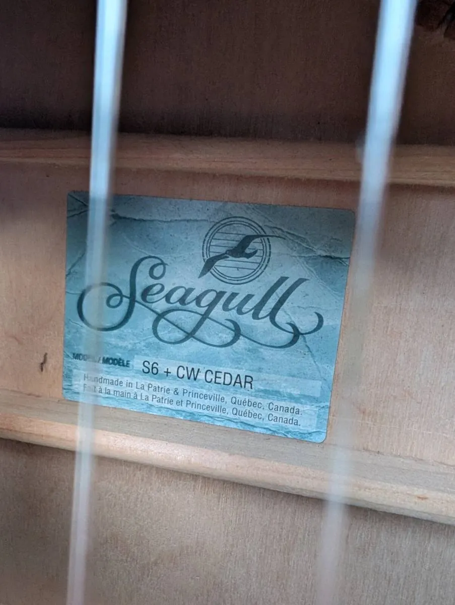 Seagull S6 Eletro-Acoustic Guitar + Hard Case - Image 3