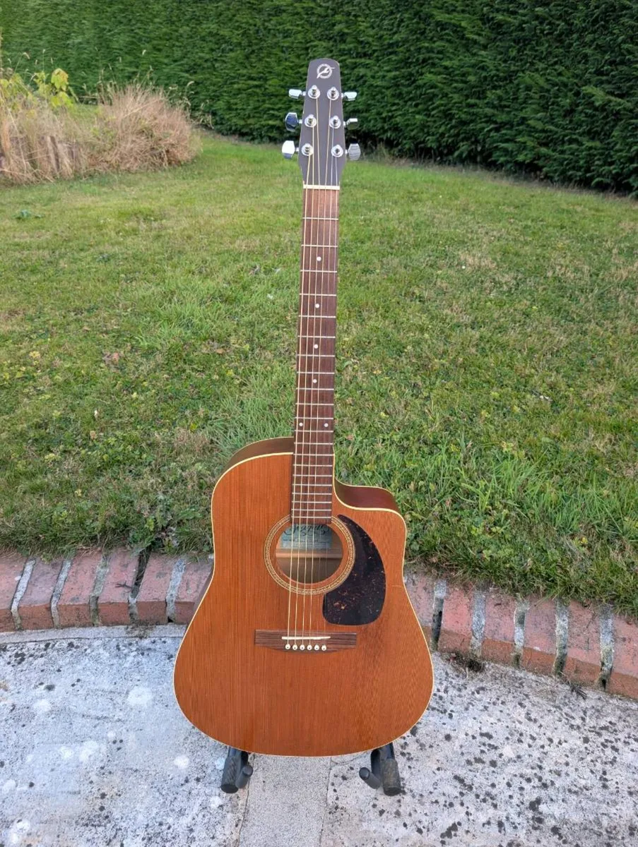Seagull S6 Eletro-Acoustic Guitar + Hard Case - Image 1