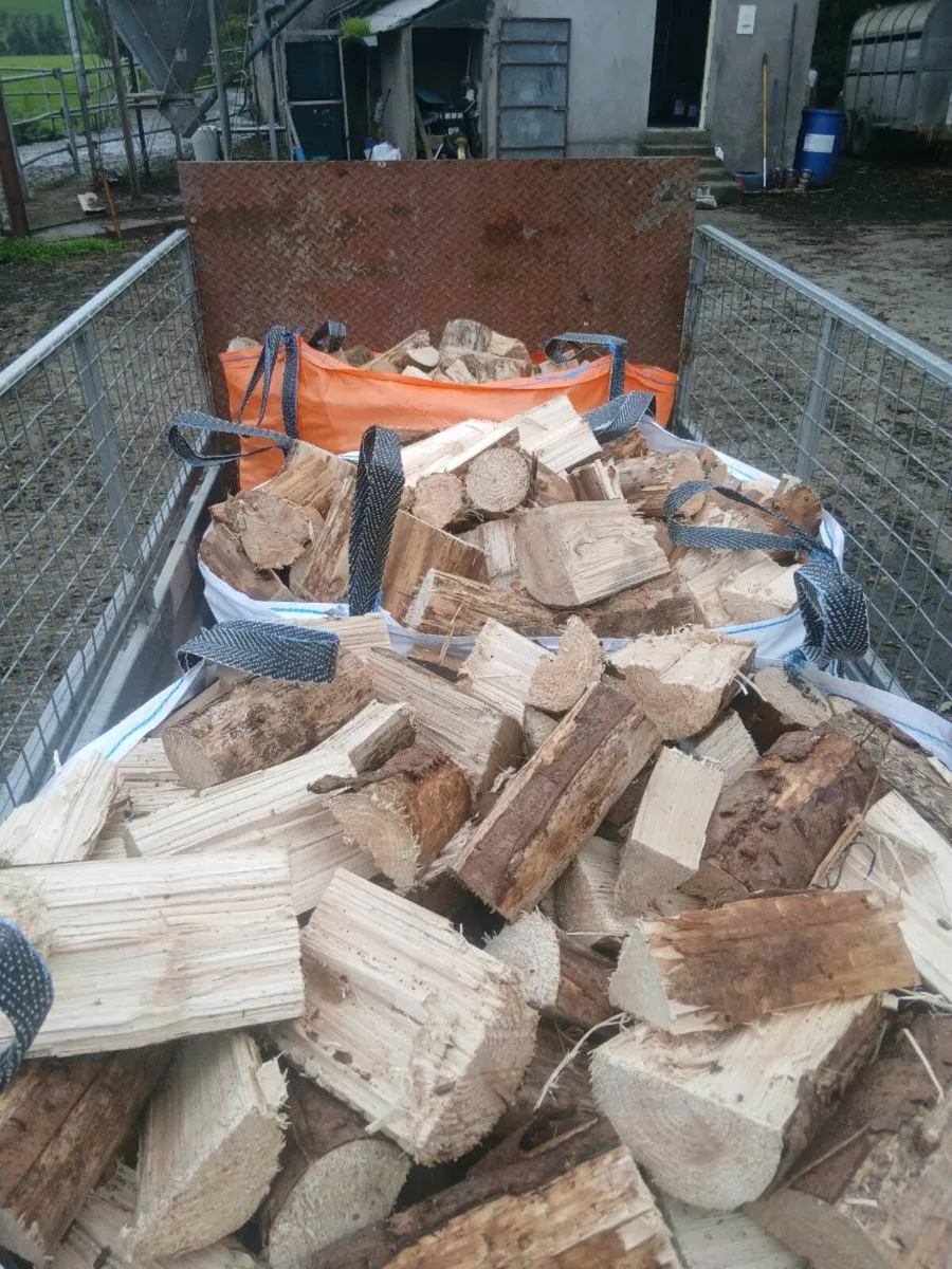 Firewood - Image 1