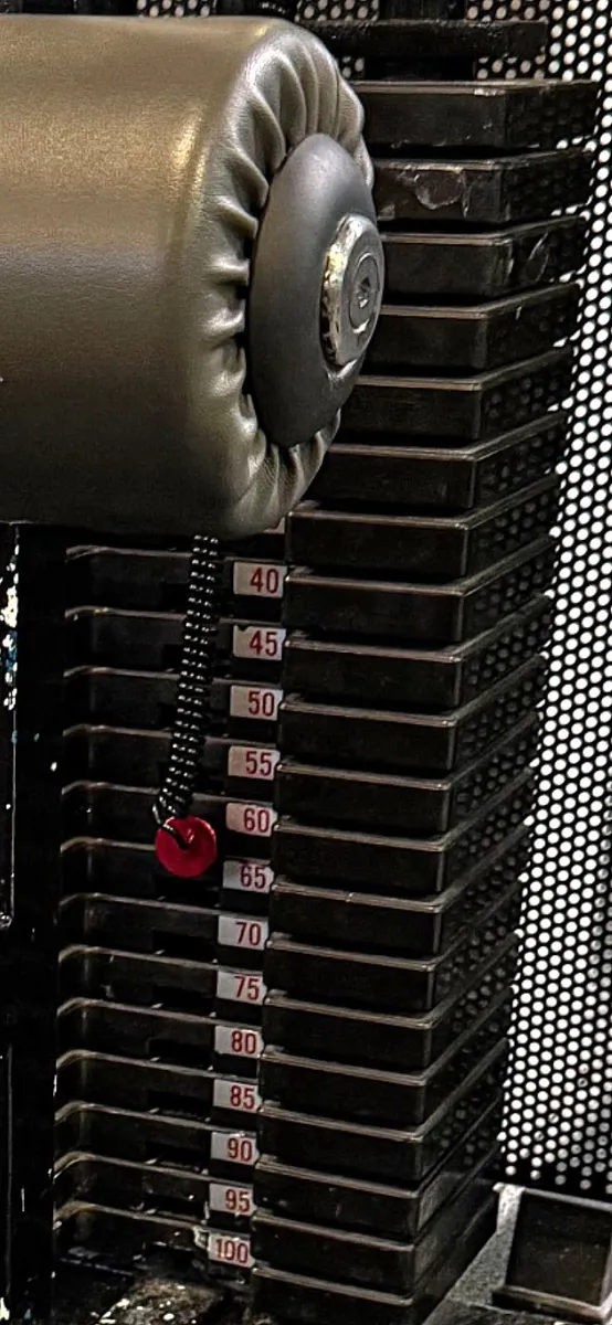 Fassi commercial selectorised lat pulldown machine - Image 2