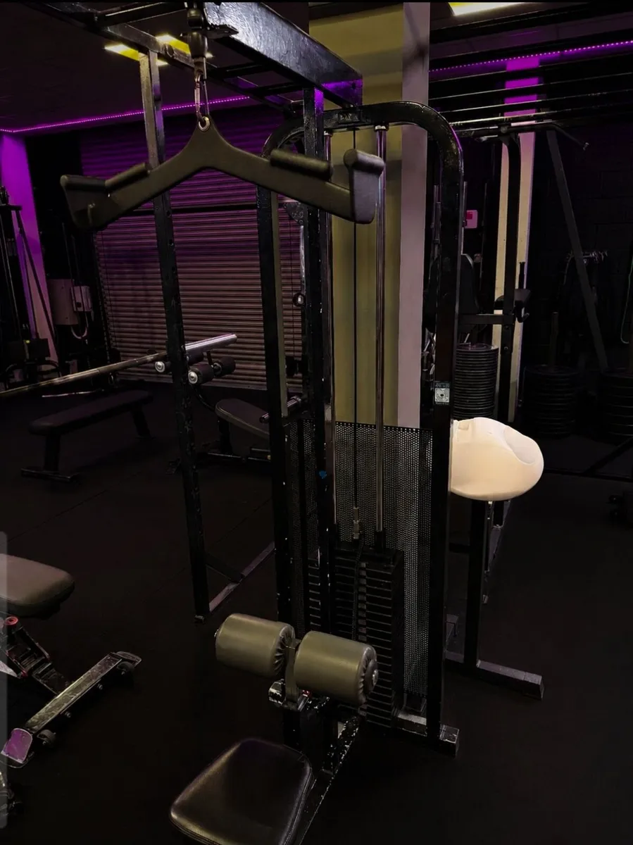 Fassi commercial selectorised lat pulldown machine - Image 1