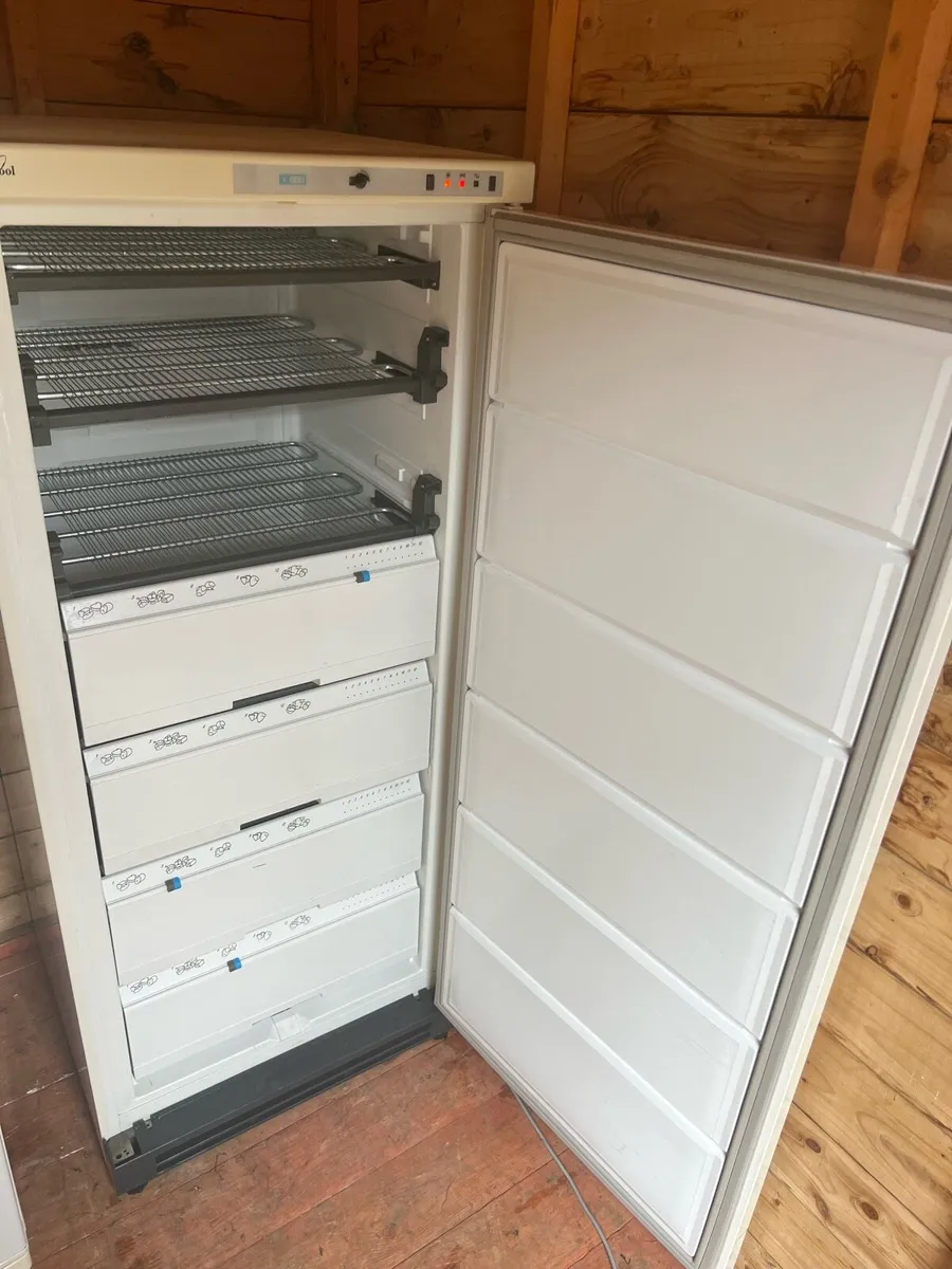Freezer - Image 3