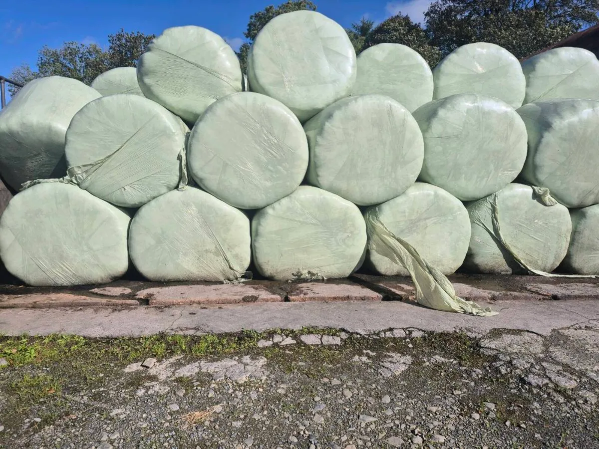 Bales of 1st cut silage - Image 1