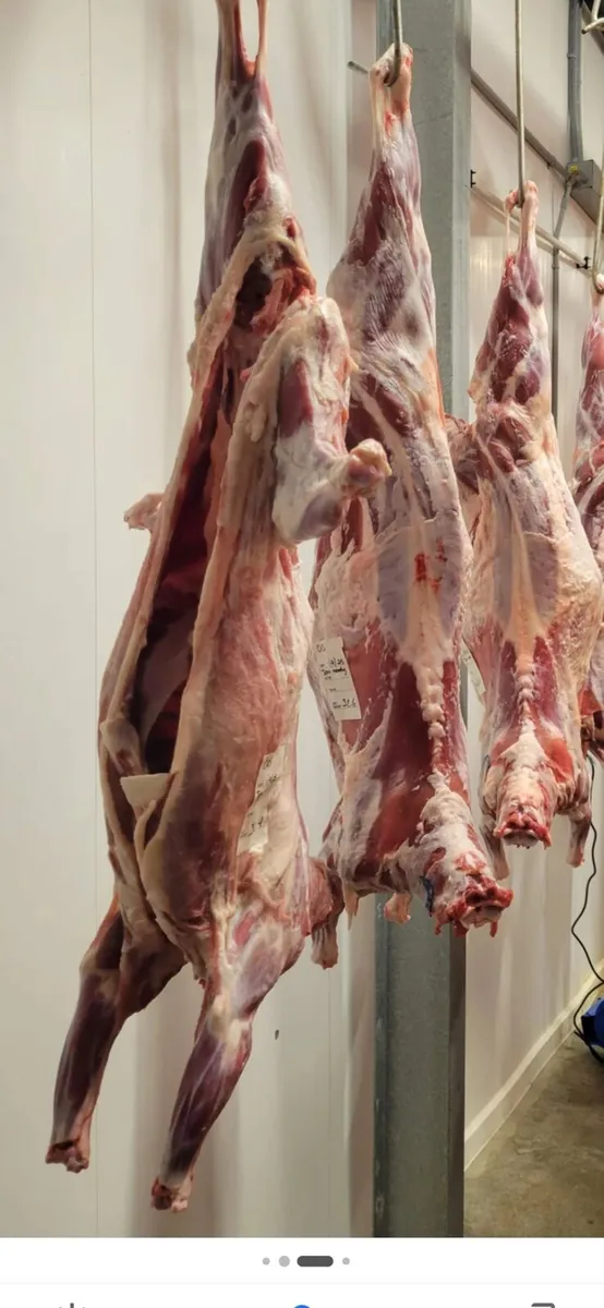 Goats meat