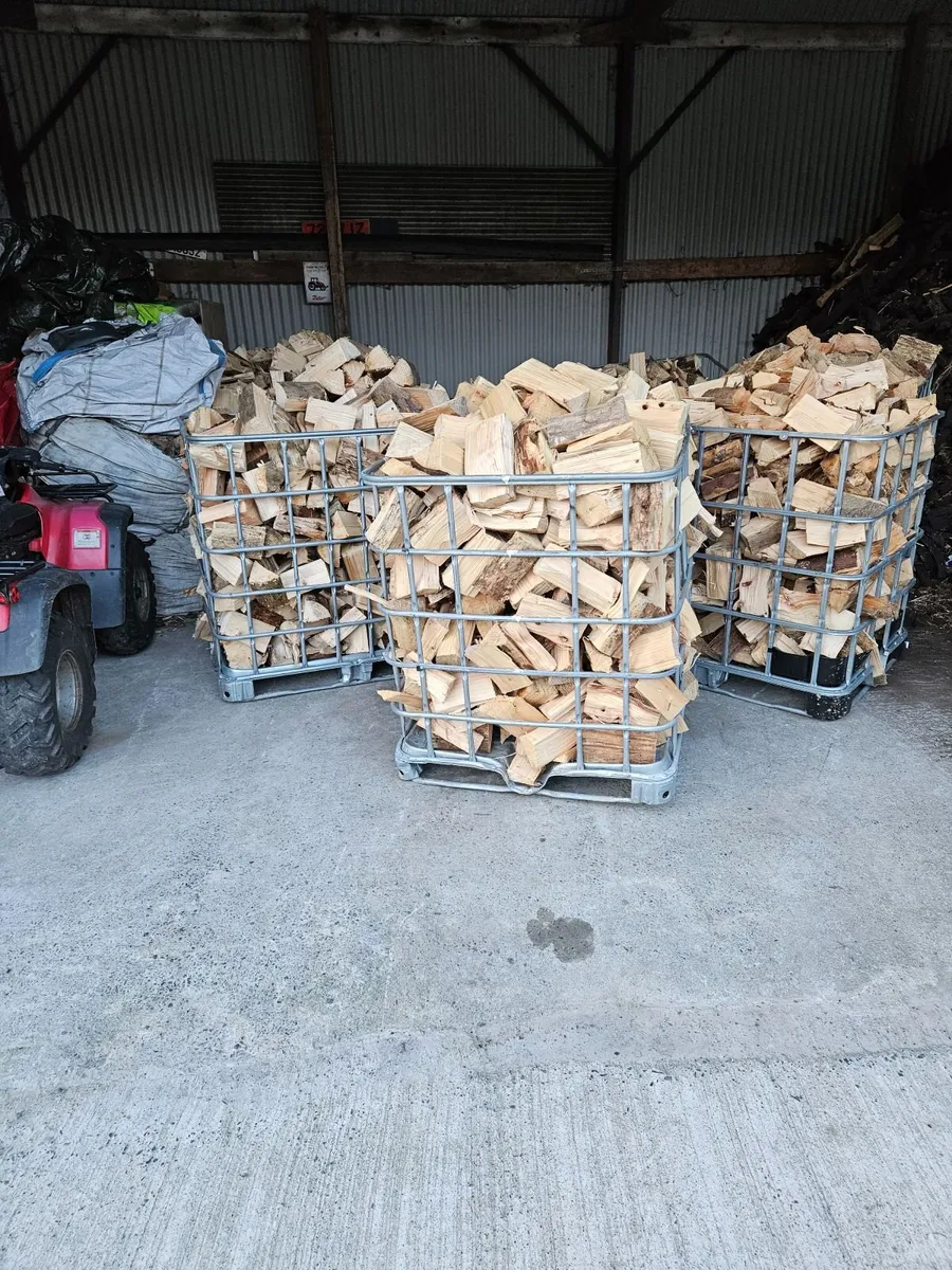 Firewood - Image 4