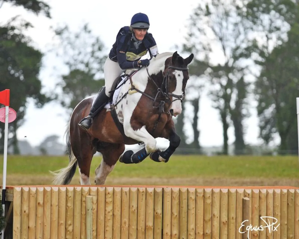 Hunter Trials @ Kilguilkey House October 11th - Image 2