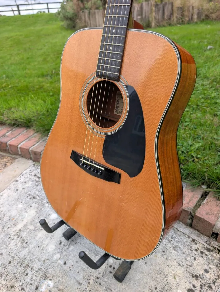 Ibanez PF10 Acoustic Guitar - Image 2