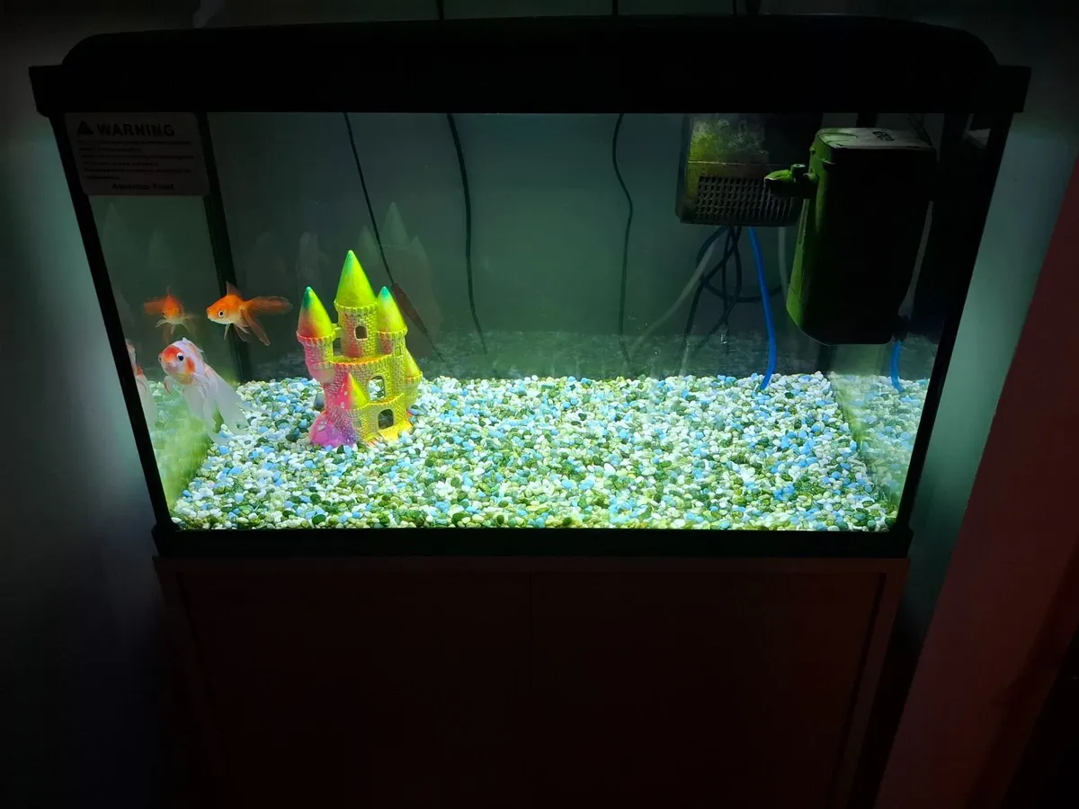 Fish Tank - Image 2