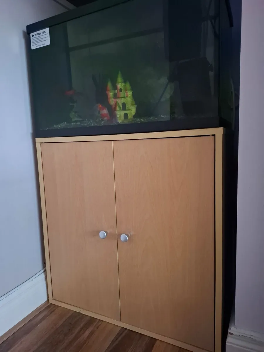 Fish Tank - Image 3