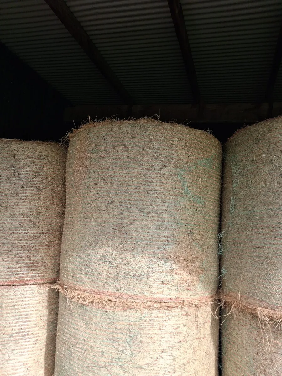 Round Bales of Hay