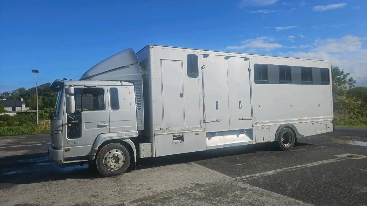 Horse - Image 1