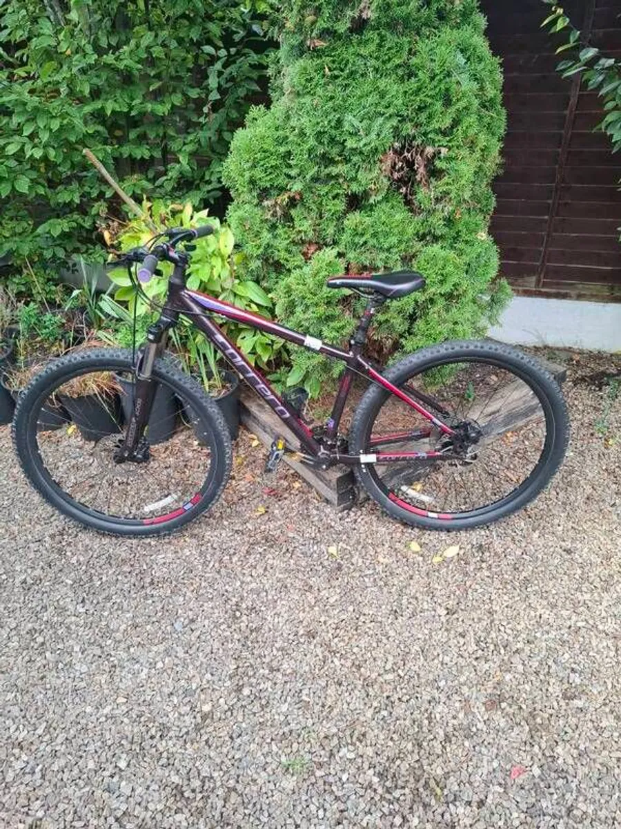 Mountain Bike - Image 1