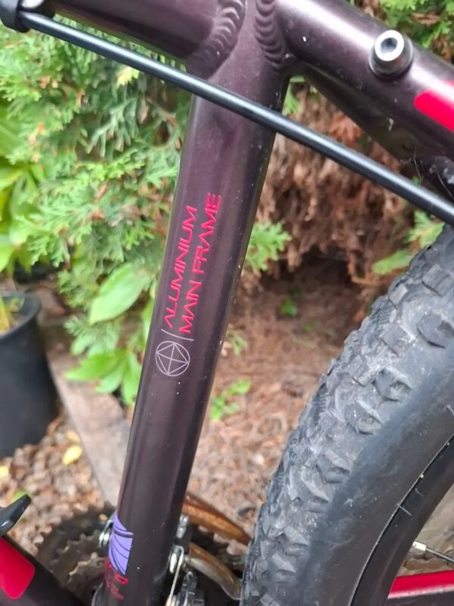 Mountain Bike - Image 3