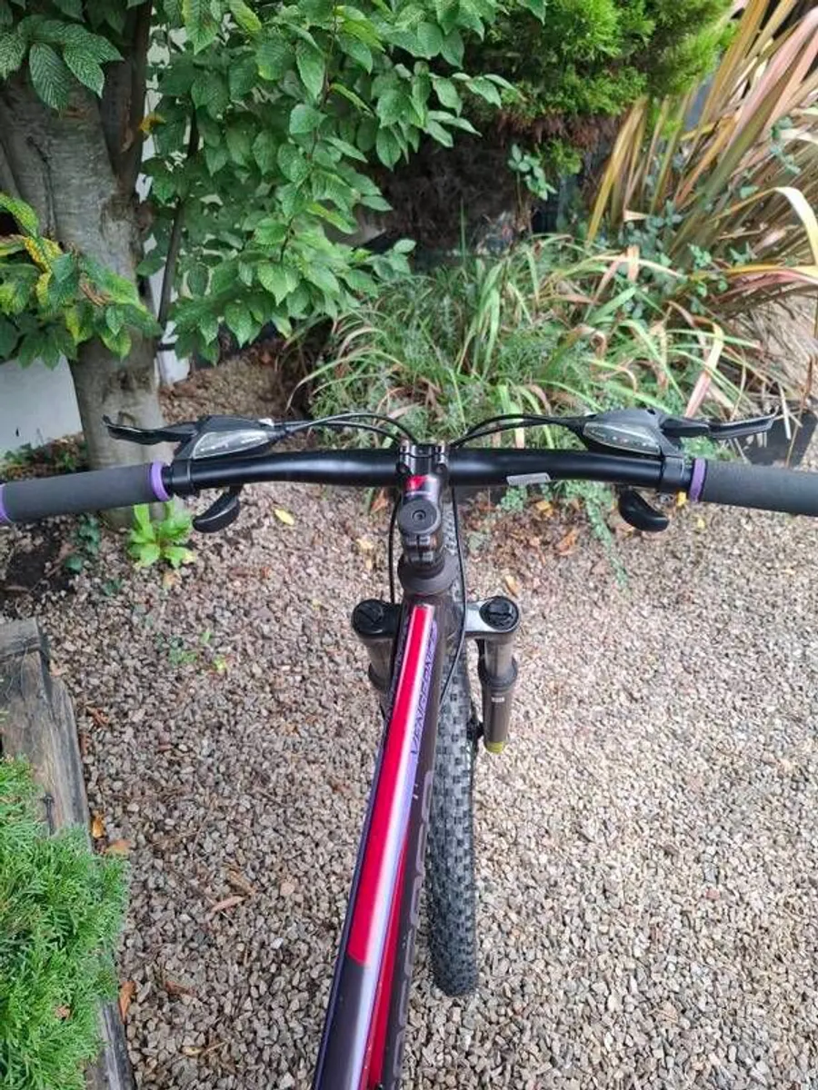 Mountain Bike - Image 4