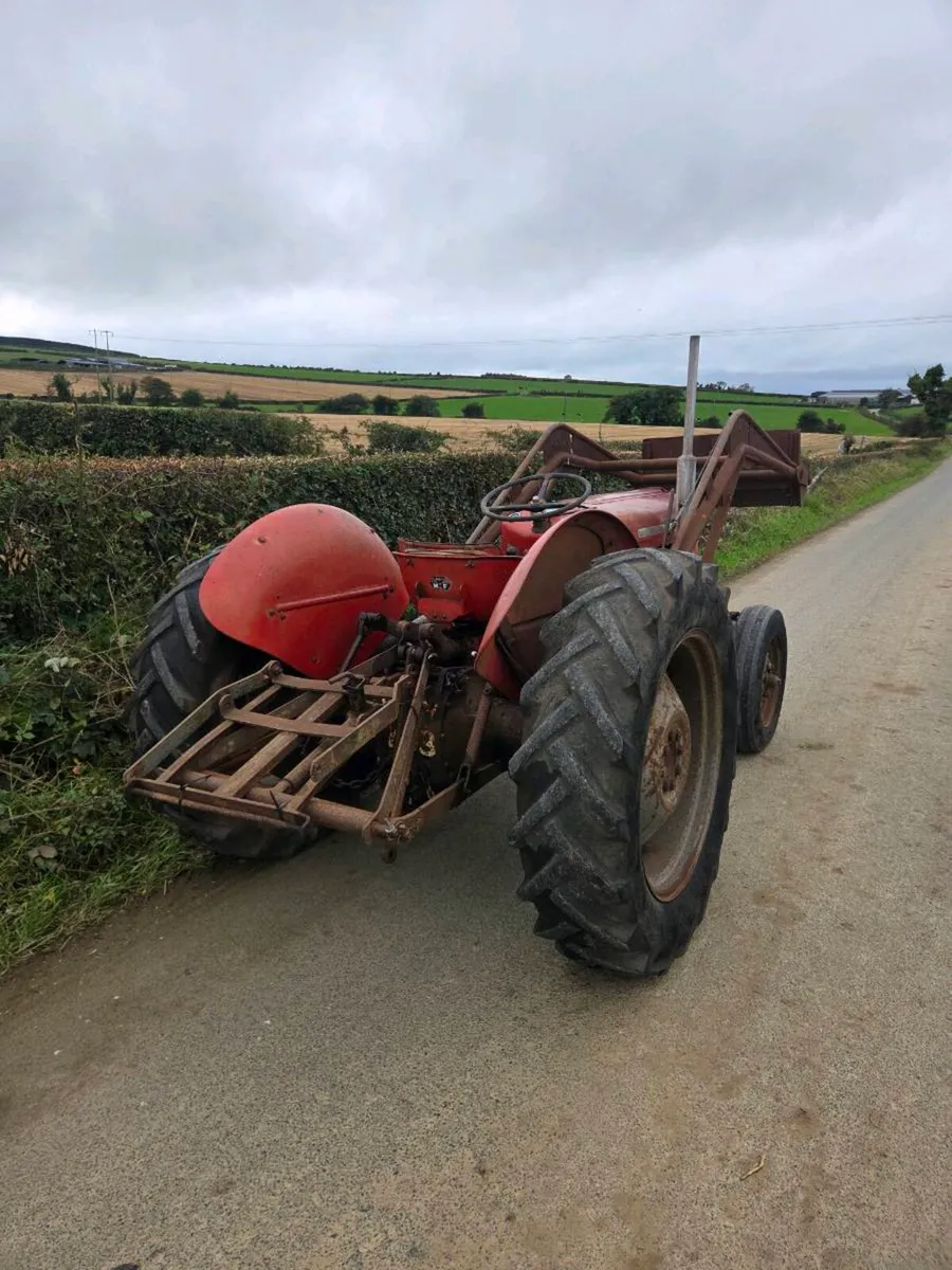 Massey ferguson 35 four cylinder - Image 3