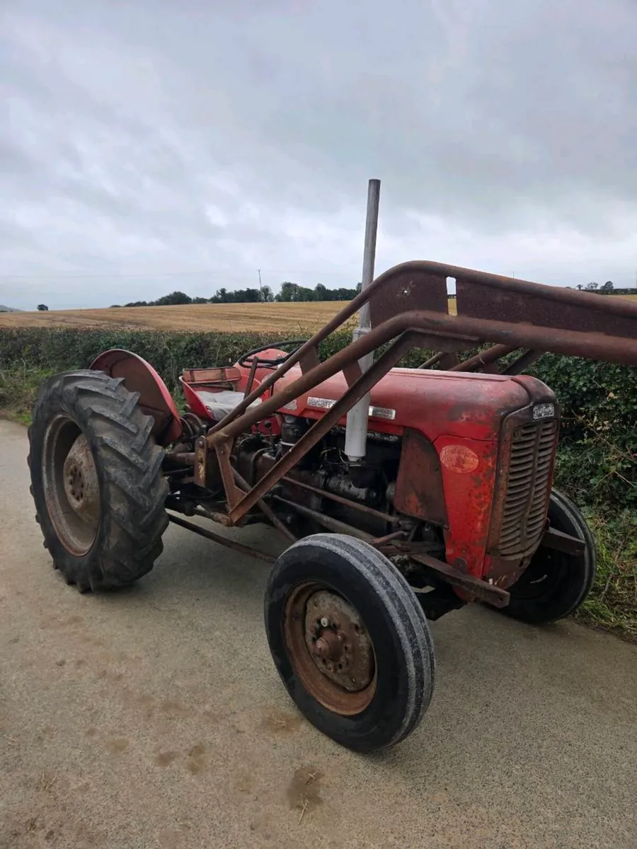 Massey ferguson 35 four cylinder - Image 1