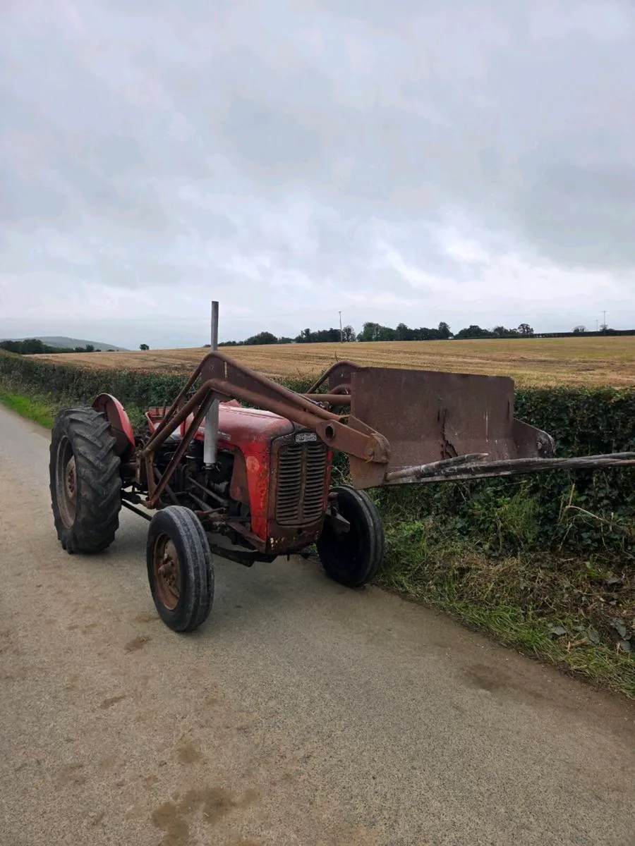 Massey ferguson 35 four cylinder - Image 4