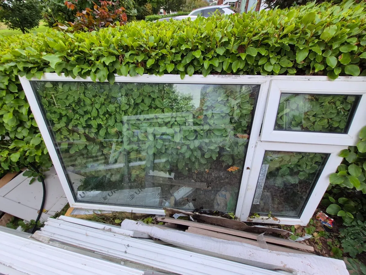 Free windows - Image 1