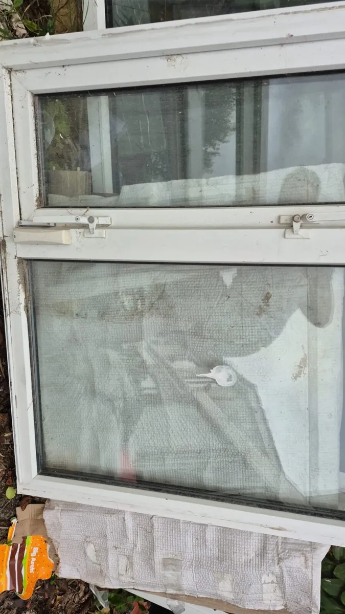 Free windows - Image 2