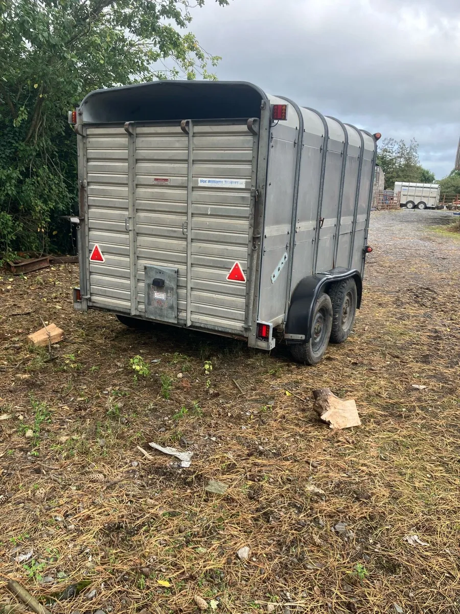 Ifor Williams 10x6 trailer - Image 1