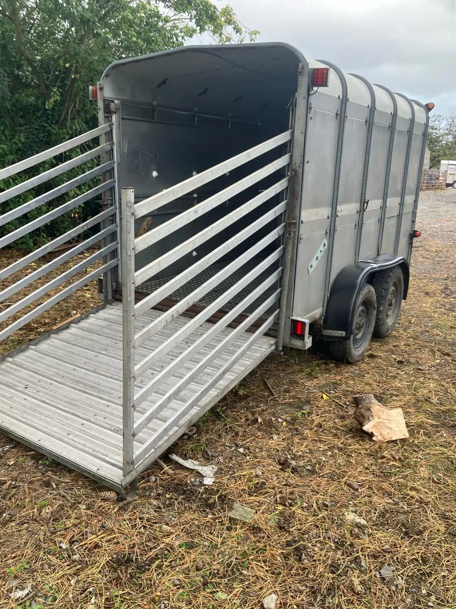 Ifor Williams 10x6 trailer - Image 2