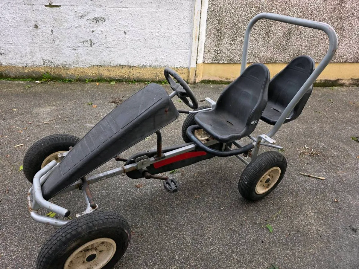 Berg go kart