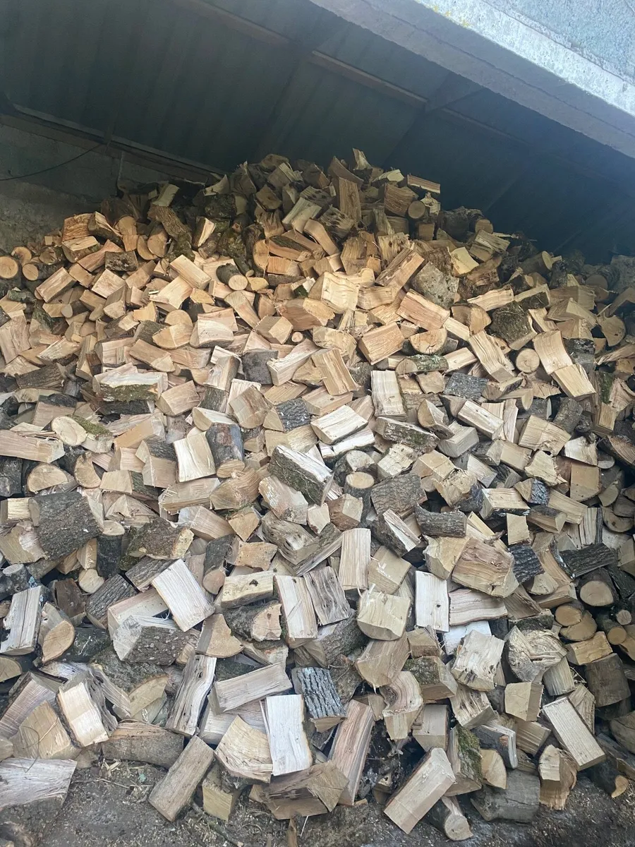 Firewood - Image 1