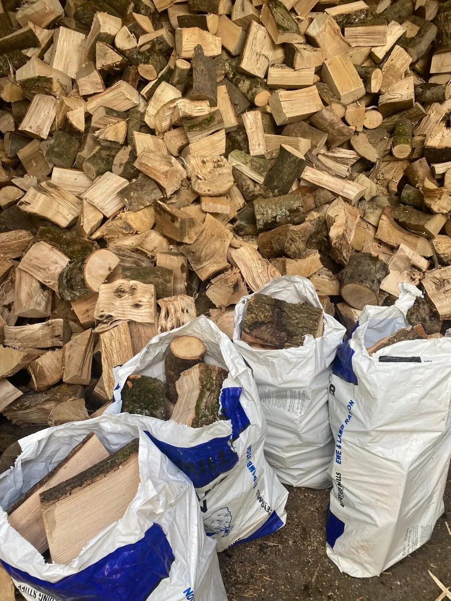 Firewood - Image 2