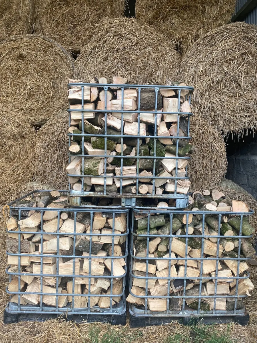 Firewood - Image 3