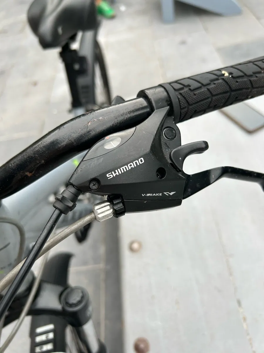 Bike ridgeback - Image 1