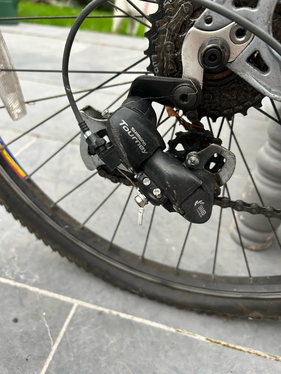 Bike ridgeback - Image 3