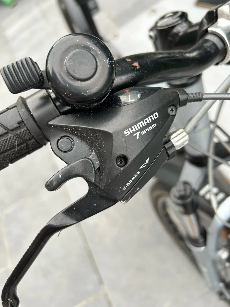 Bike ridgeback - Image 2