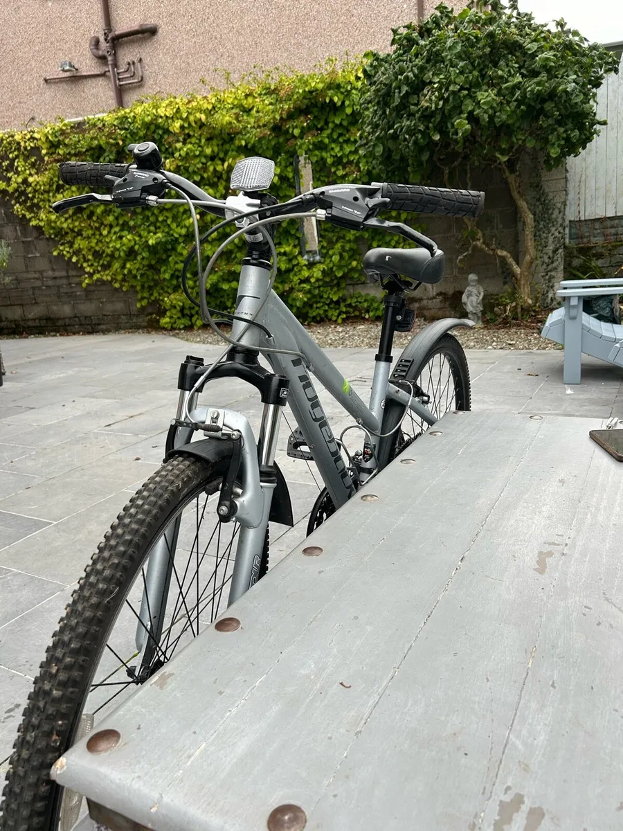 Bike ridgeback - Image 4