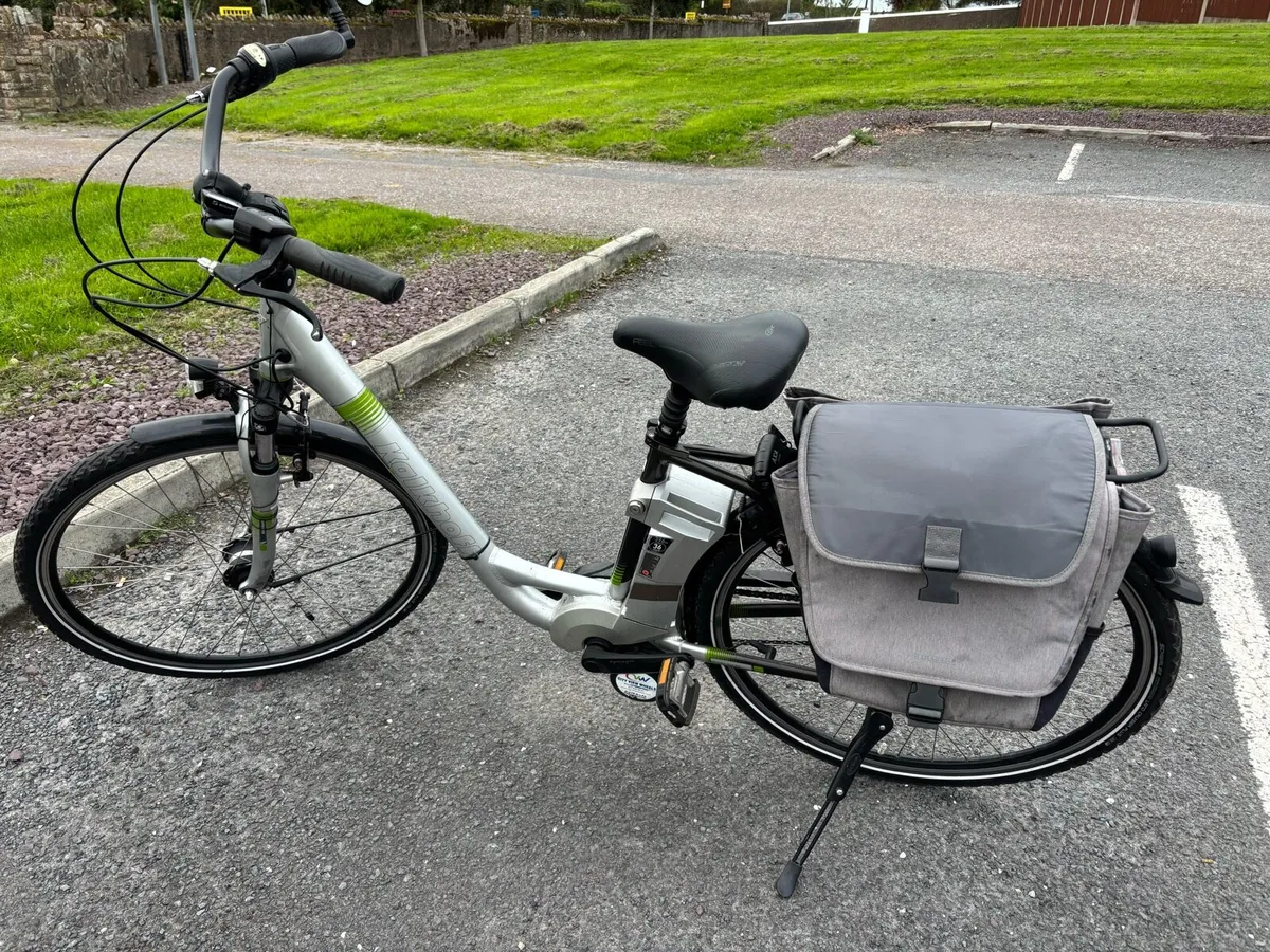 1 Electric Bikes & Carrier - Image 2