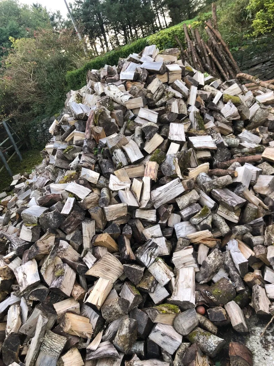 Firewood - Image 4