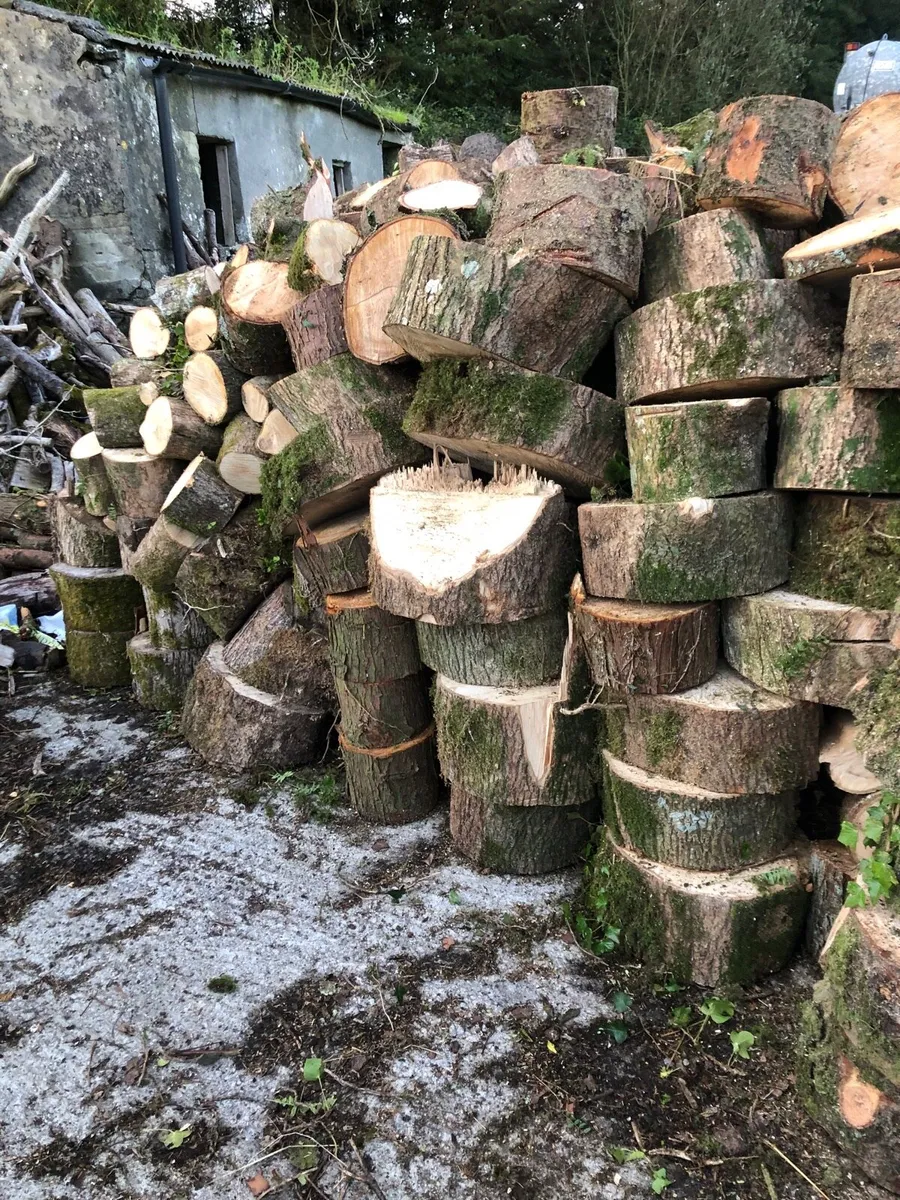 Firewood - Image 2