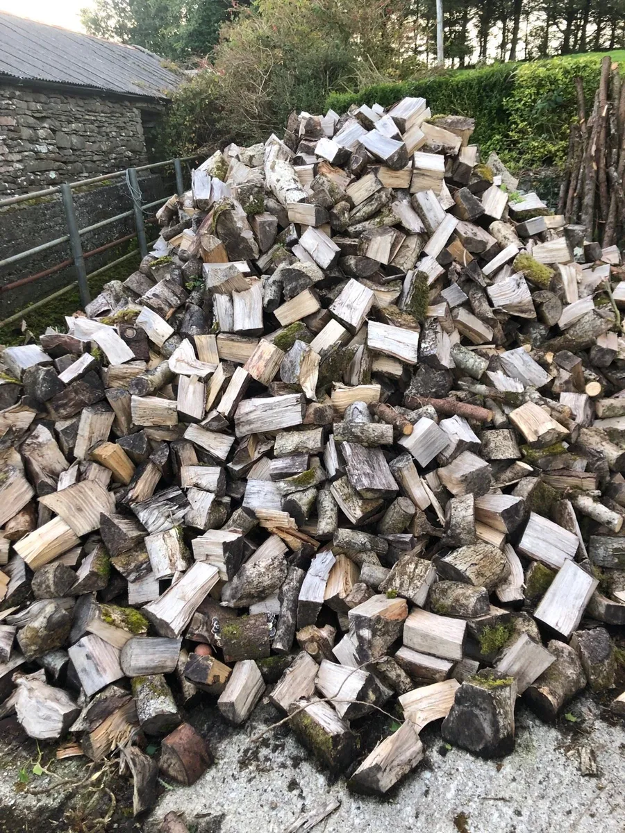 Firewood - Image 3