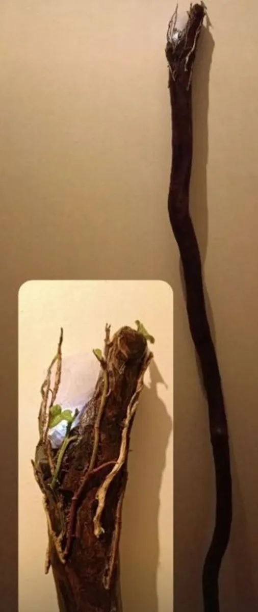 Handcrafted wizard staff - Image 3