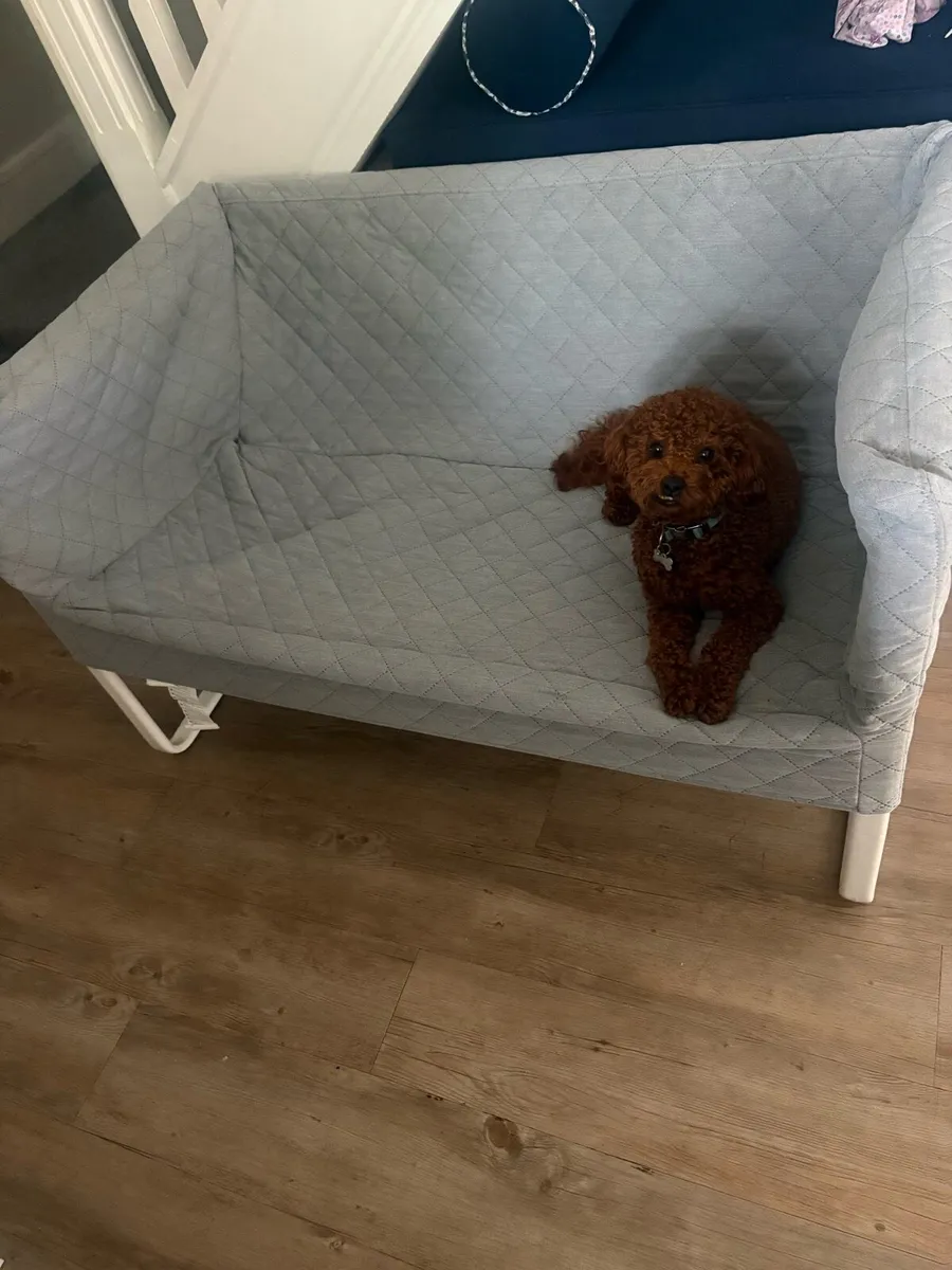Small seat ikea - Image 1