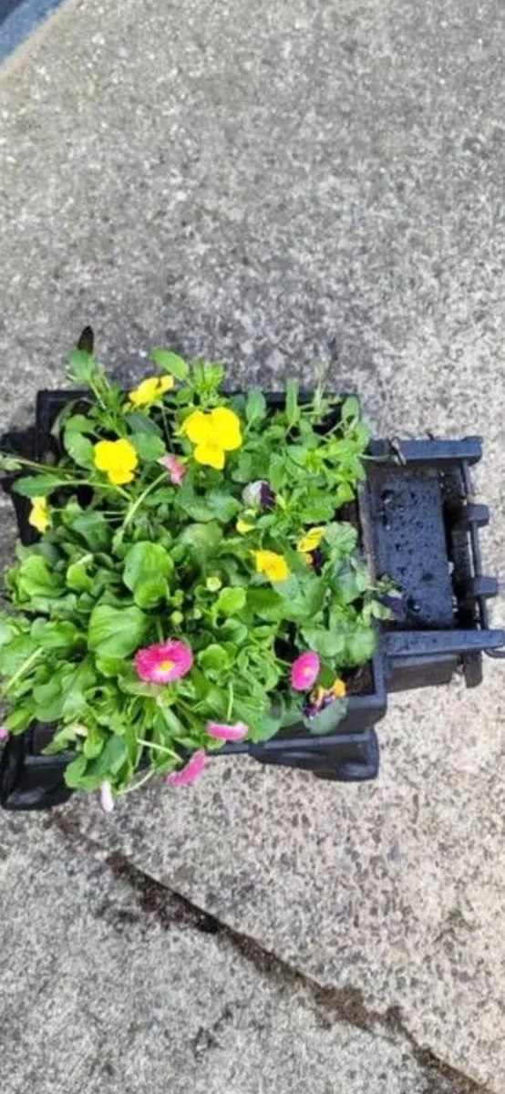 Garden planter - Image 3