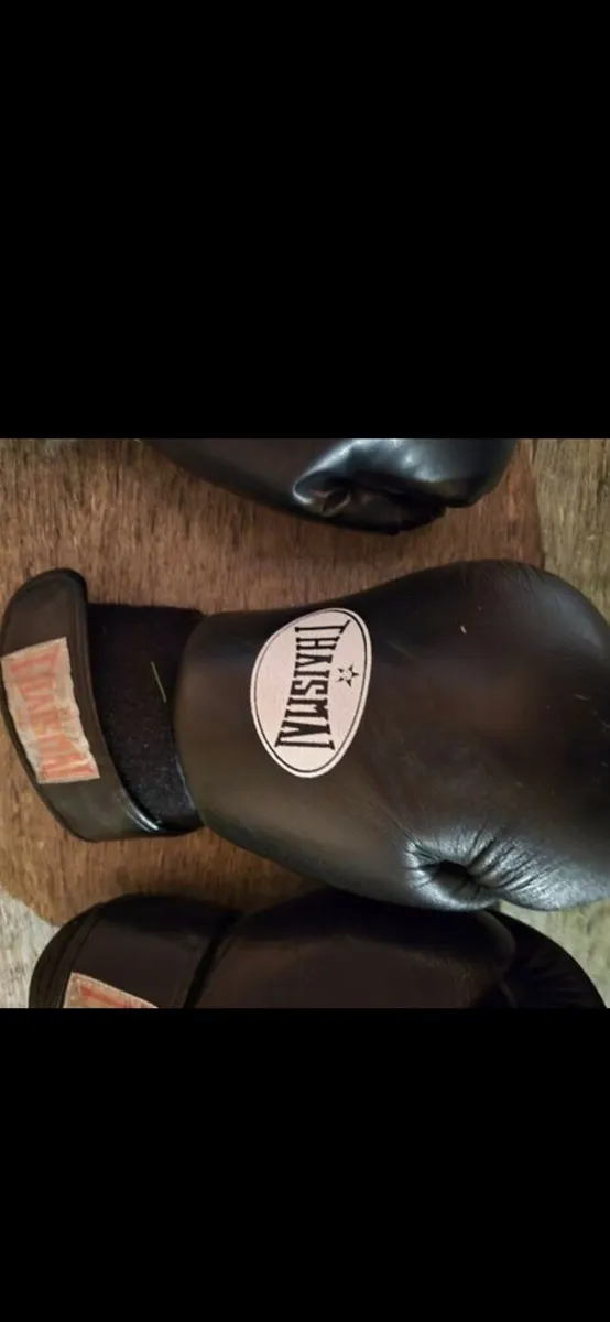 Mma/muay Thai - Image 1